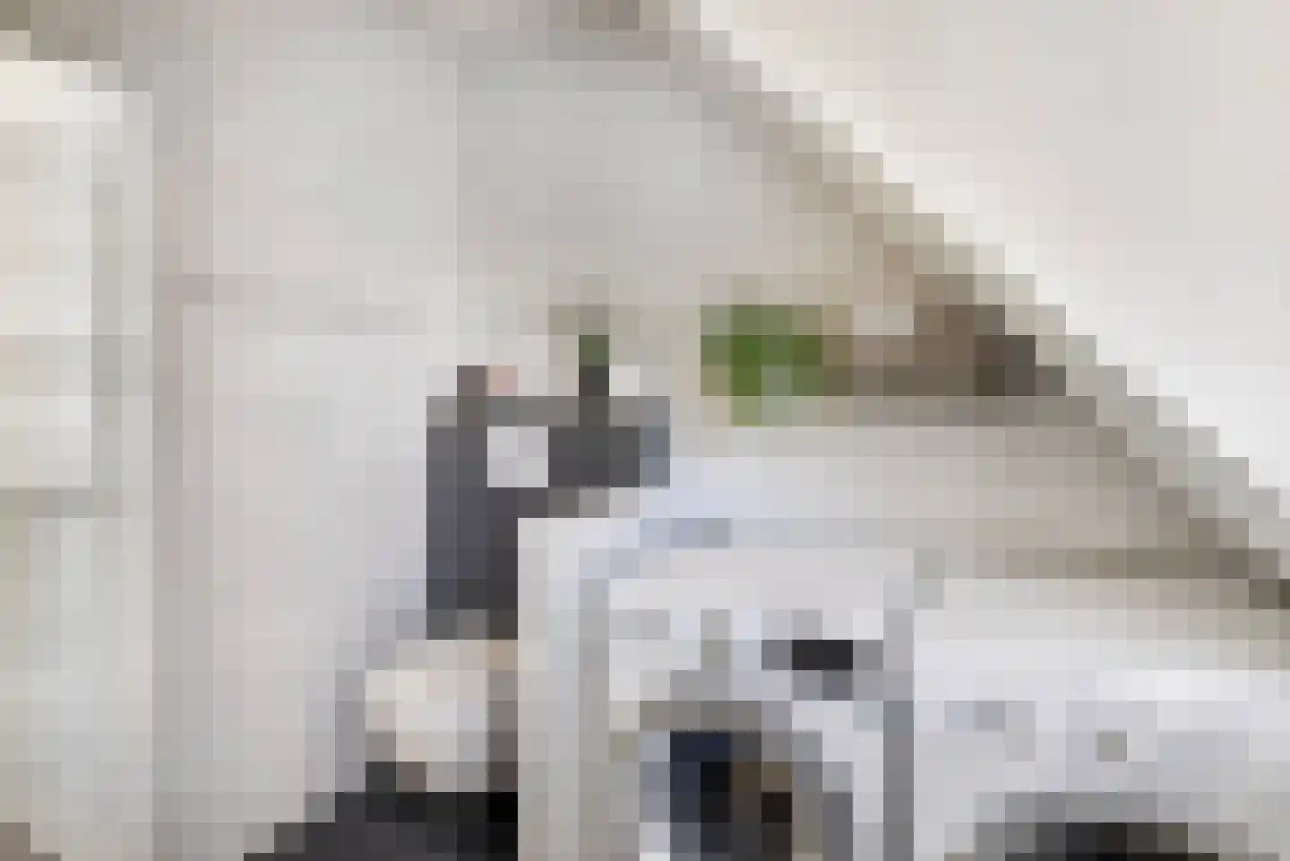 Oeverzwaluw 20 A Veenendaal thumbnail 24