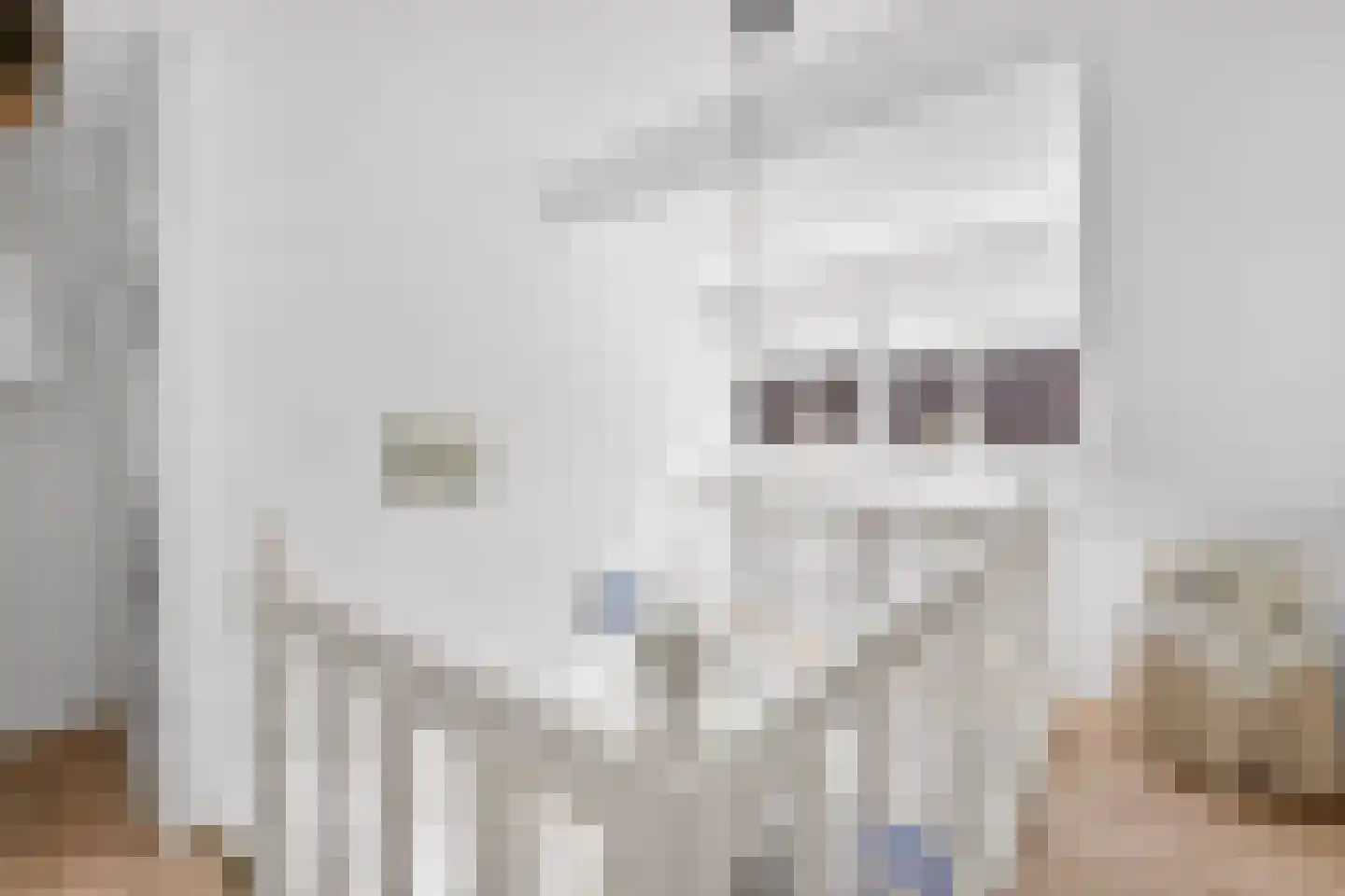 Oeverzwaluw 20 A Veenendaal thumbnail 25