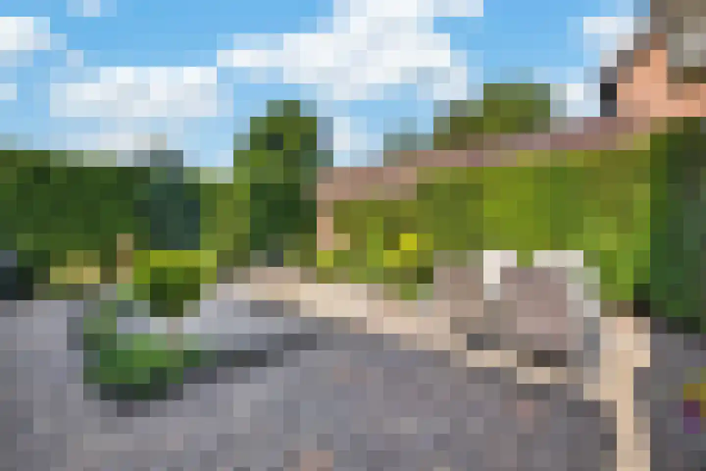 Oeverzwaluw 20 A Veenendaal thumbnail 27