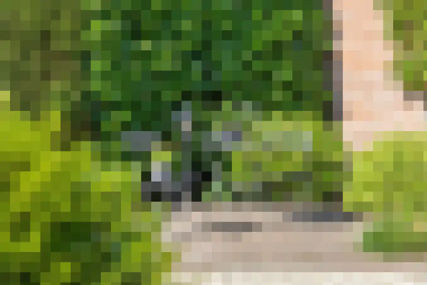 Oeverzwaluw 20 A Veenendaal thumbnail 31