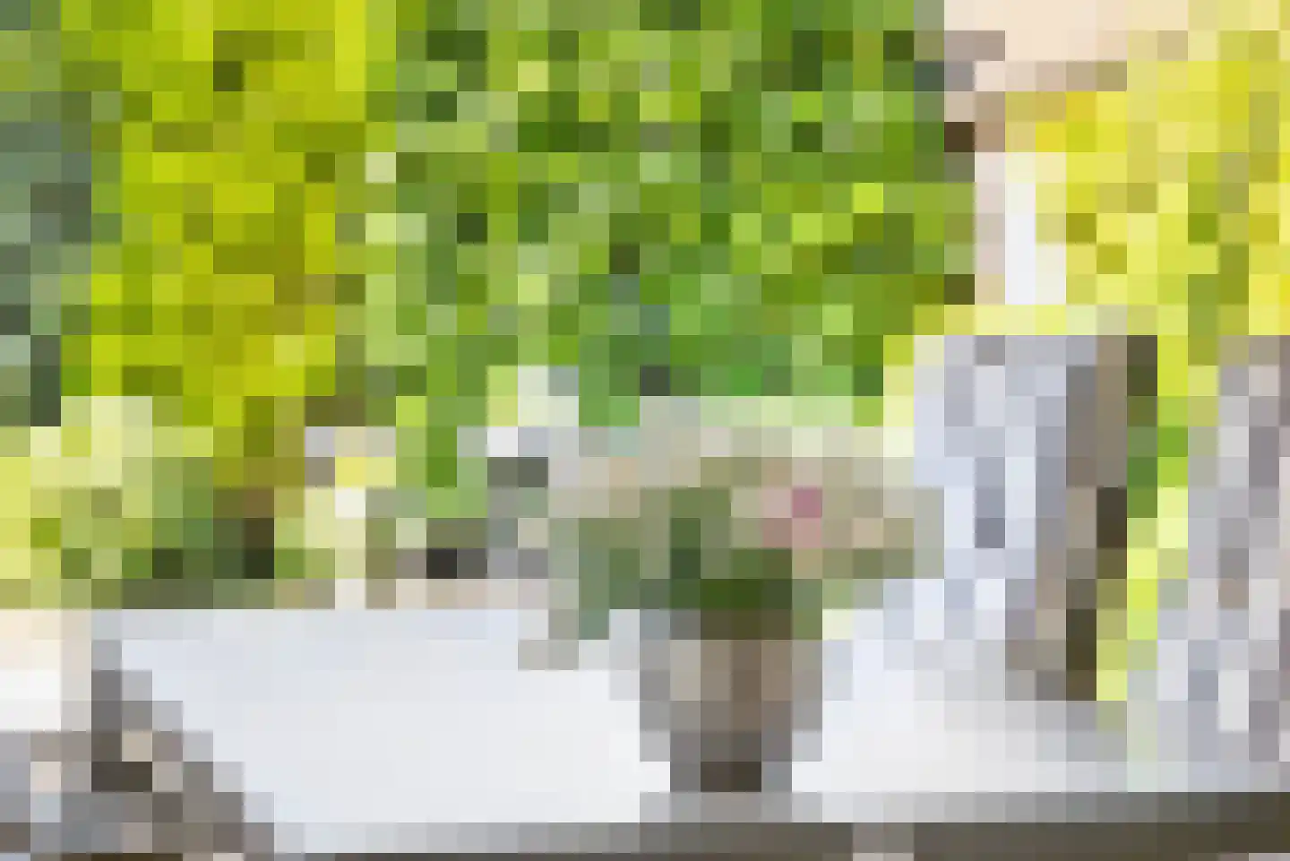 Oeverzwaluw 20 A Veenendaal thumbnail 32
