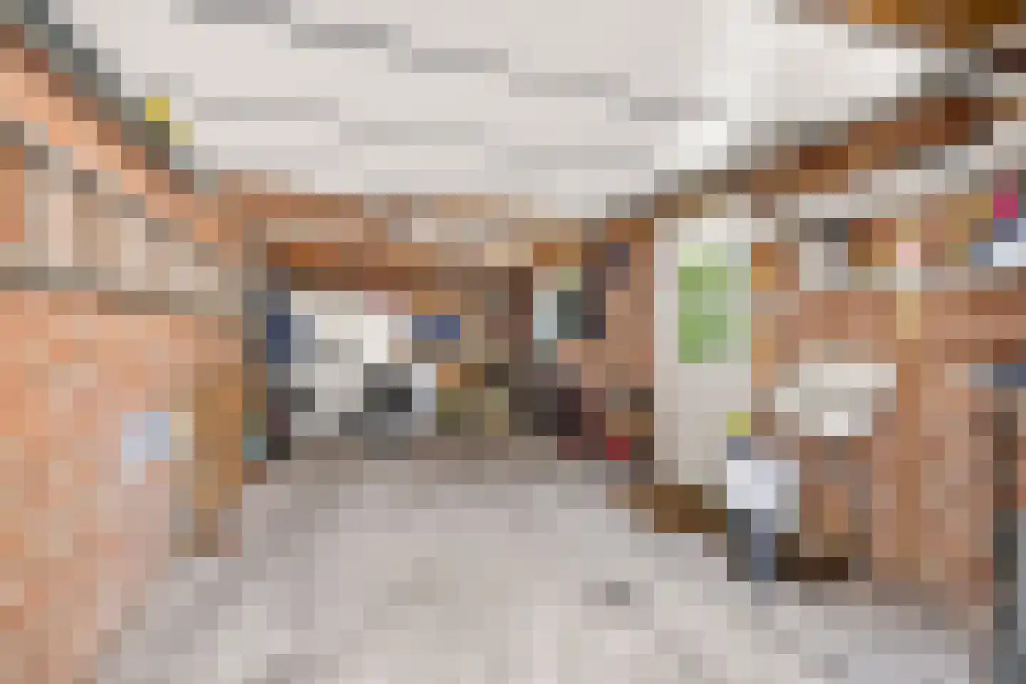 Oeverzwaluw 20 A Veenendaal thumbnail 33
