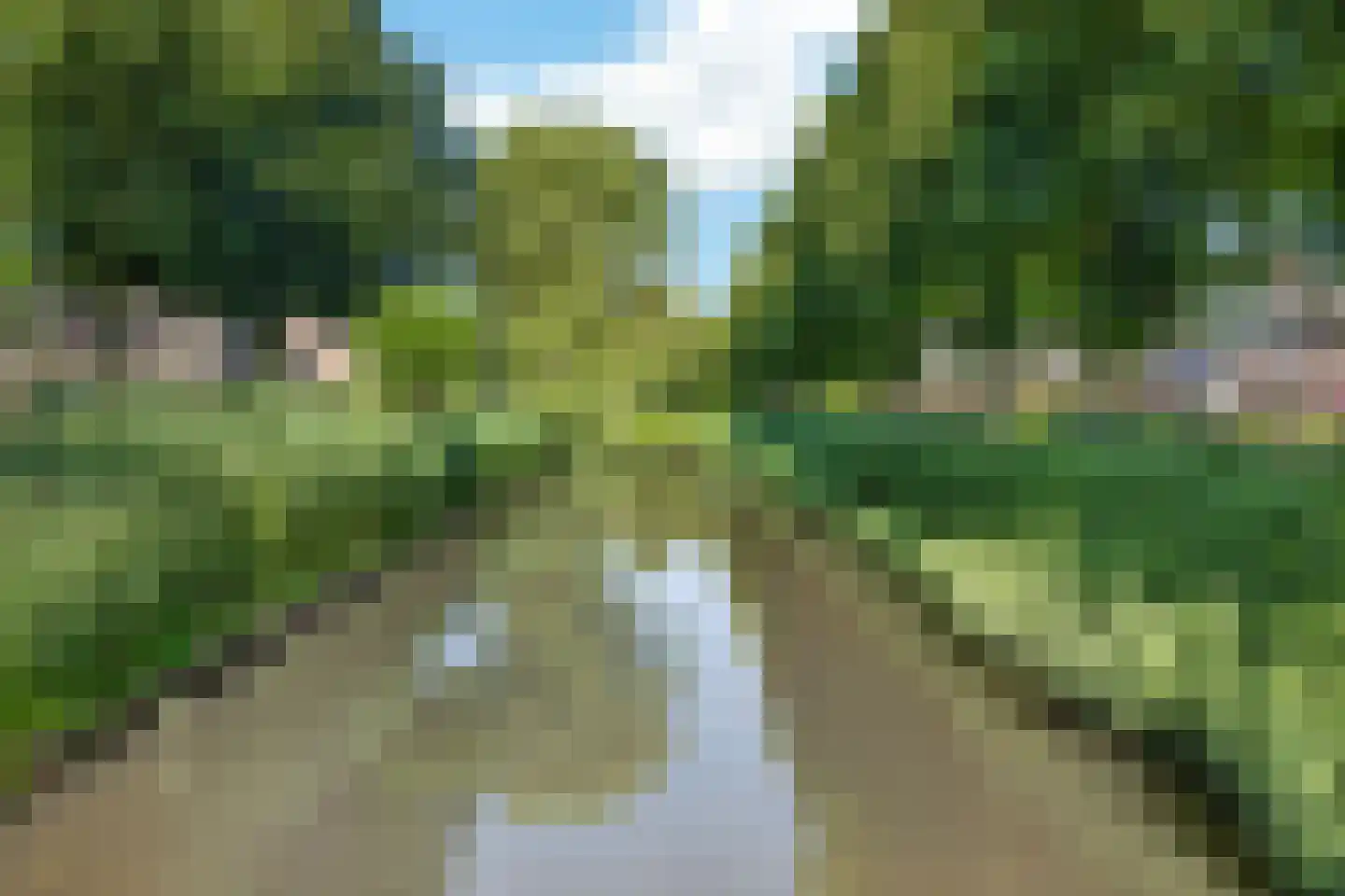Oeverzwaluw 20 A Veenendaal thumbnail 38