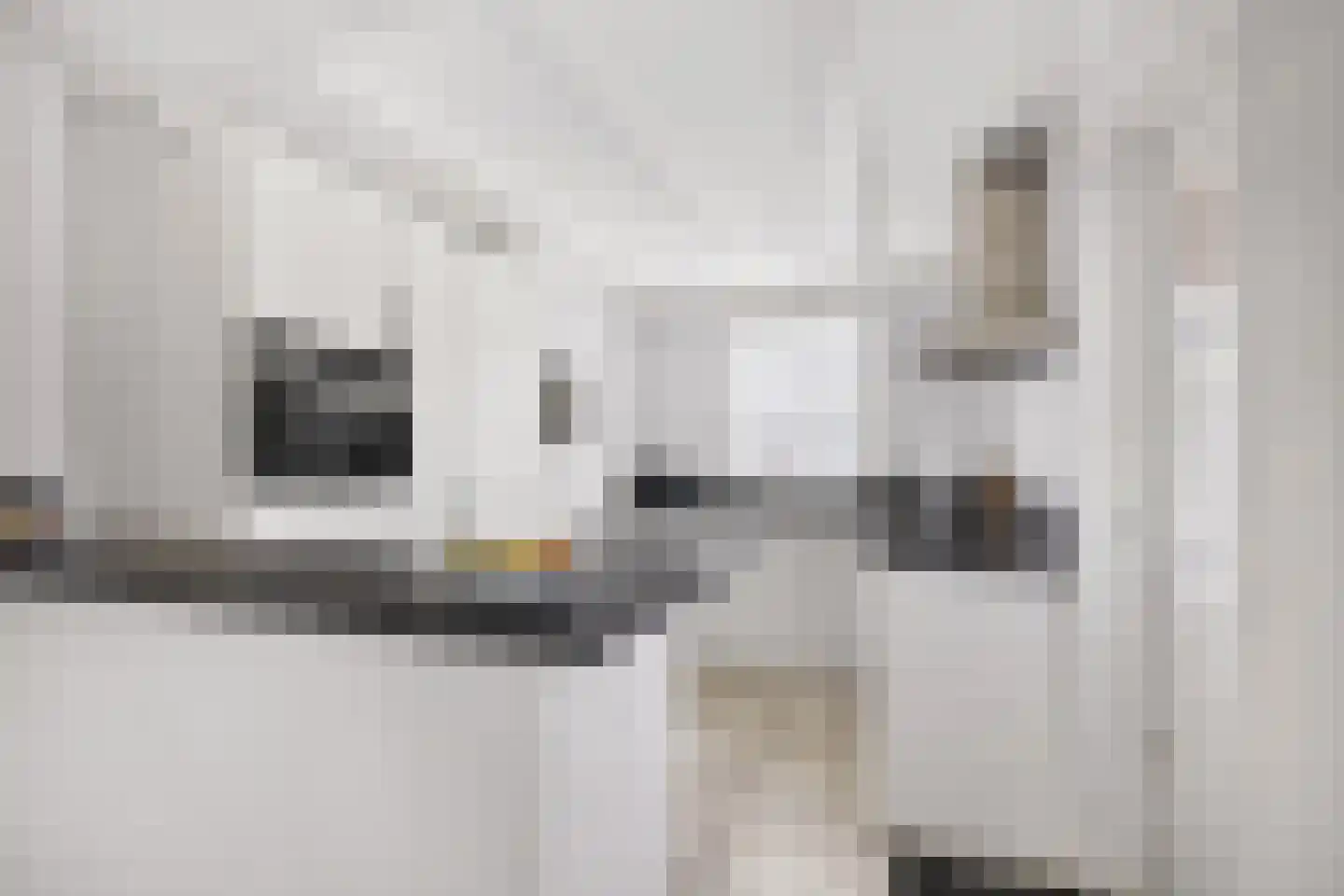 Oeverzwaluw 20 A Veenendaal thumbnail 4