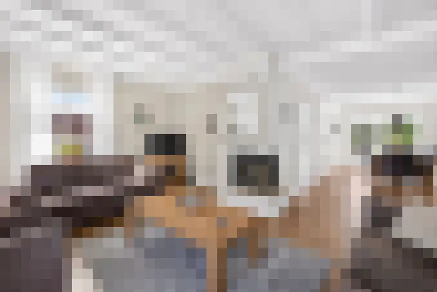 Oeverzwaluw 20 A Veenendaal thumbnail 7