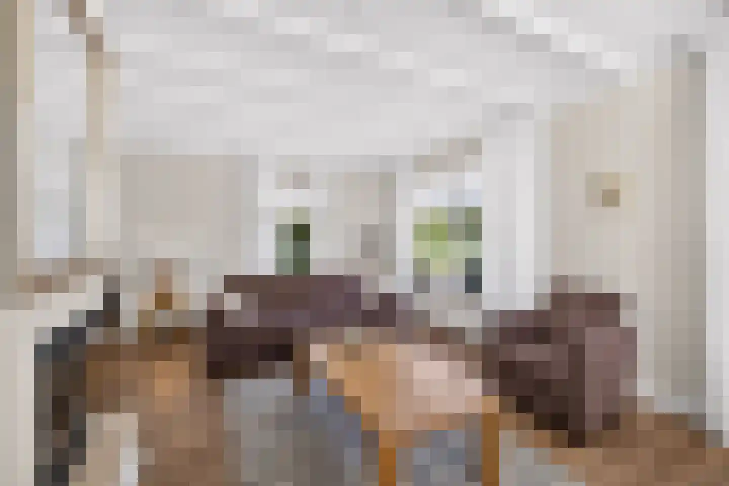 Oeverzwaluw 20 A Veenendaal thumbnail 8