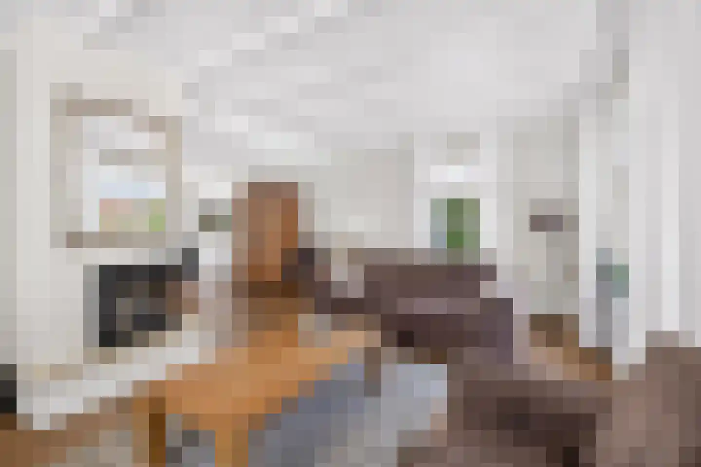 Oeverzwaluw 20 A Veenendaal thumbnail 9