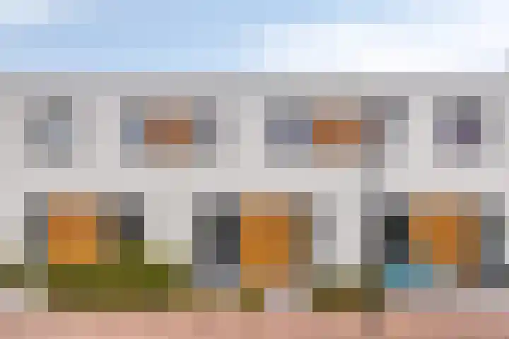 Oeverzwaluw 20 Goirle