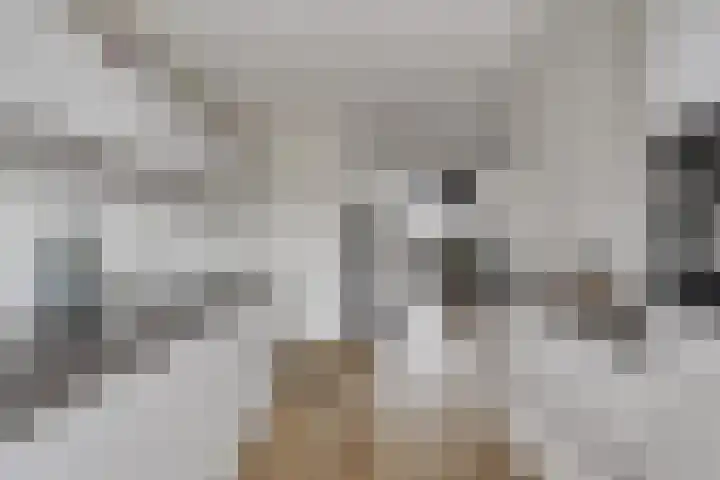 Oeverzwaluw 20 Goirle thumbnail 11