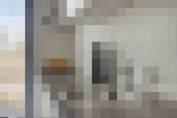 Oeverzwaluw 20 Goirle thumbnail 12