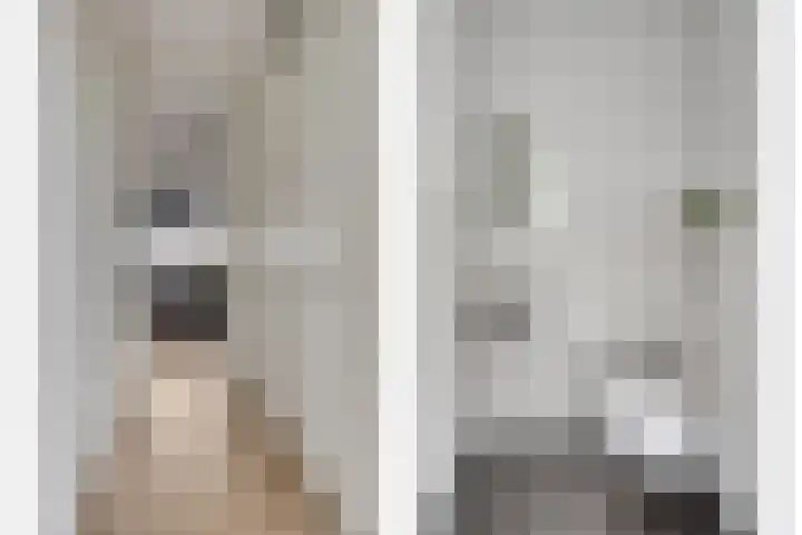 Oeverzwaluw 20 Goirle thumbnail 13