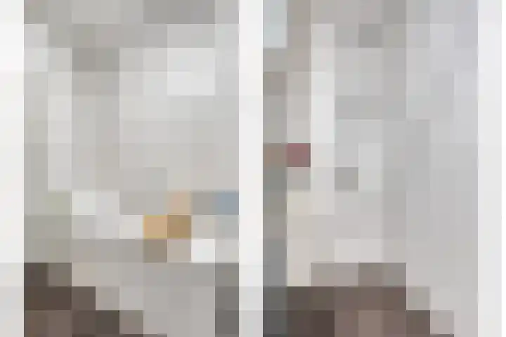 Oeverzwaluw 20 Goirle thumbnail 18