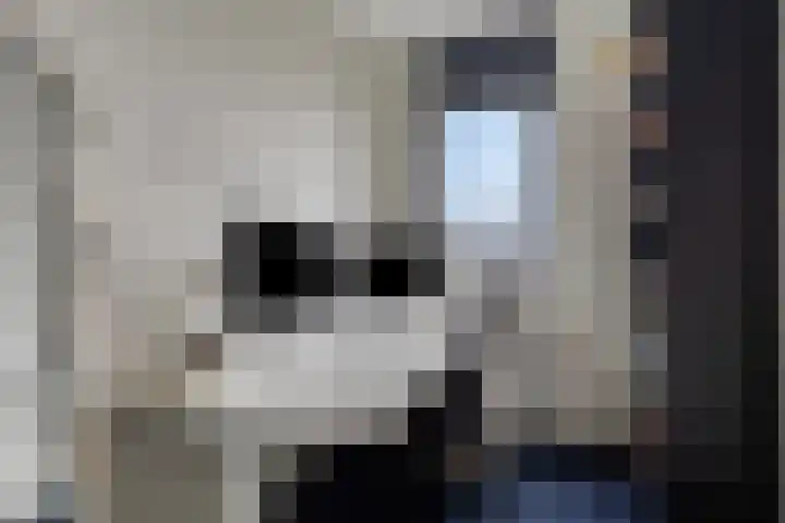 Oeverzwaluw 20 Goirle thumbnail 19