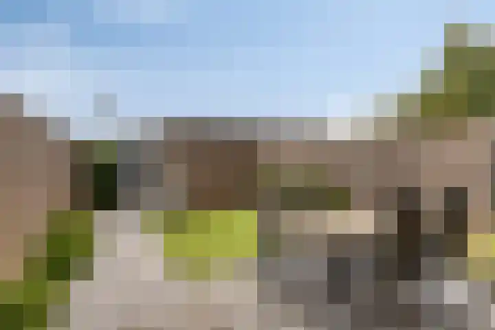 Oeverzwaluw 20 Goirle thumbnail 22