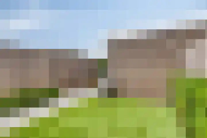 Oeverzwaluw 20 Goirle thumbnail 23