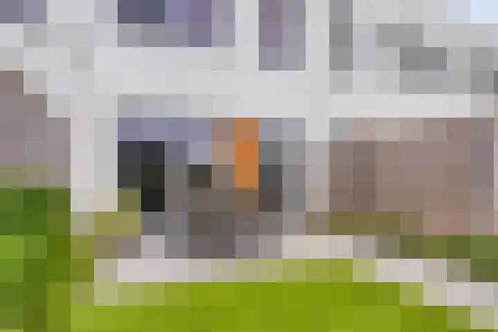 Oeverzwaluw 20 Goirle thumbnail 24