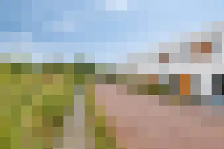 Oeverzwaluw 20 Goirle thumbnail 26
