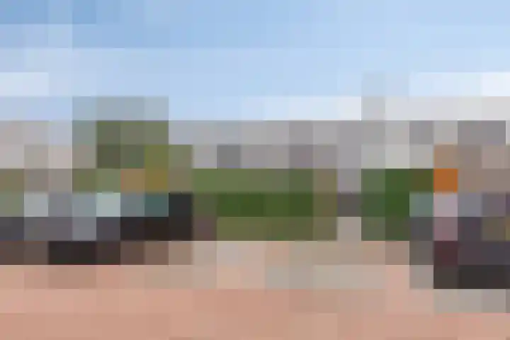 Oeverzwaluw 20 Goirle thumbnail 27