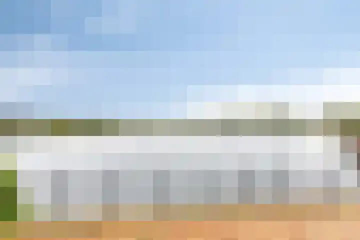 Oeverzwaluw 20 Goirle thumbnail 28