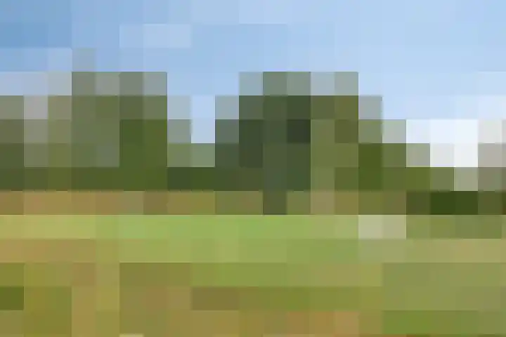 Oeverzwaluw 20 Goirle thumbnail 29