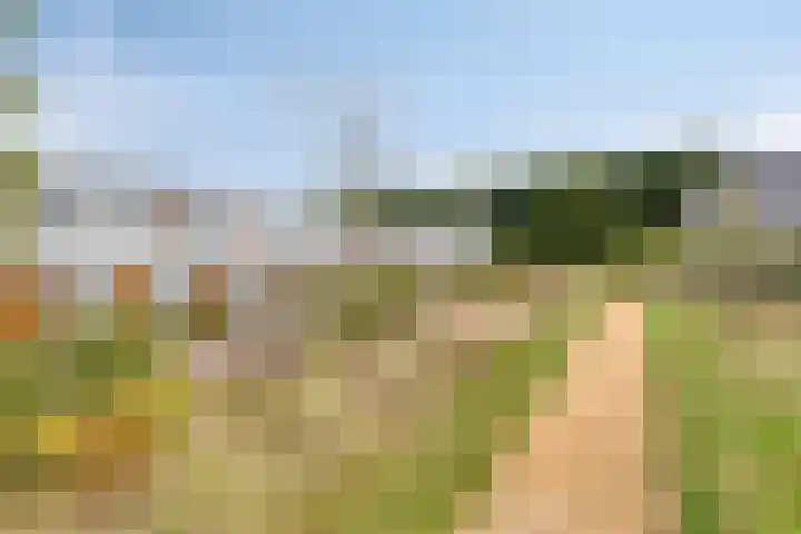 Oeverzwaluw 20 Goirle thumbnail 30