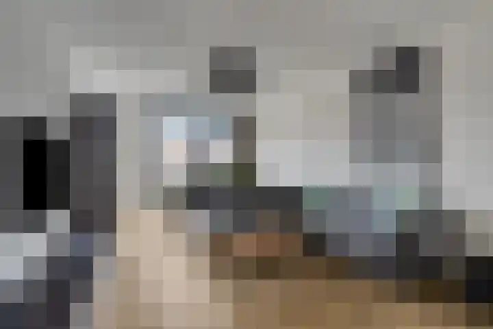 Oeverzwaluw 20 Goirle thumbnail 4