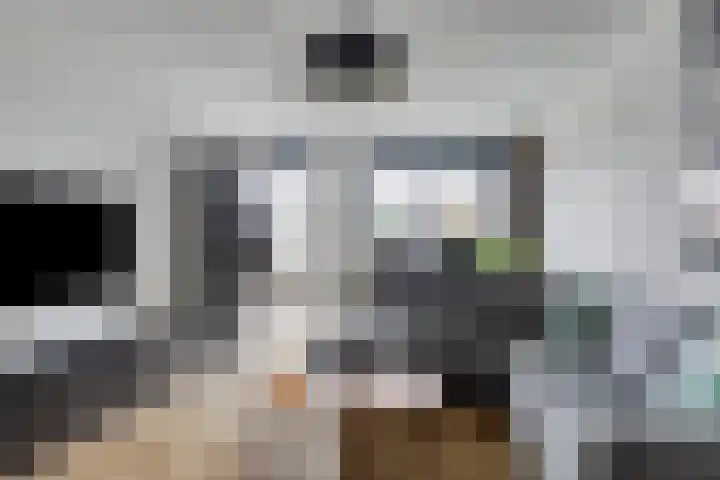 Oeverzwaluw 20 Goirle thumbnail 5