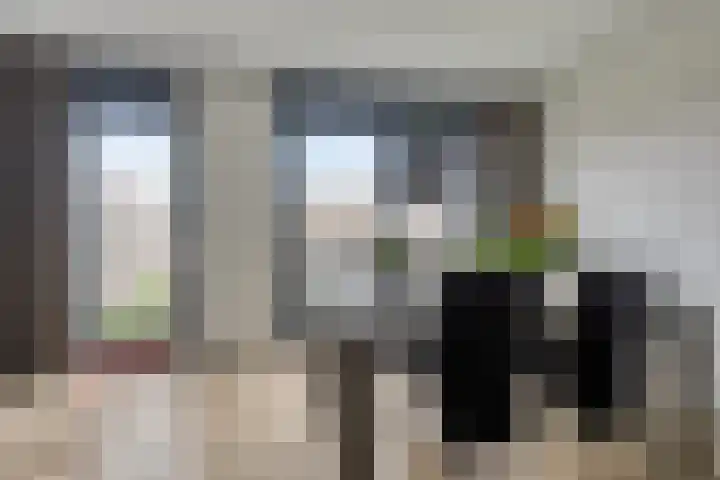 Oeverzwaluw 20 Goirle thumbnail 6