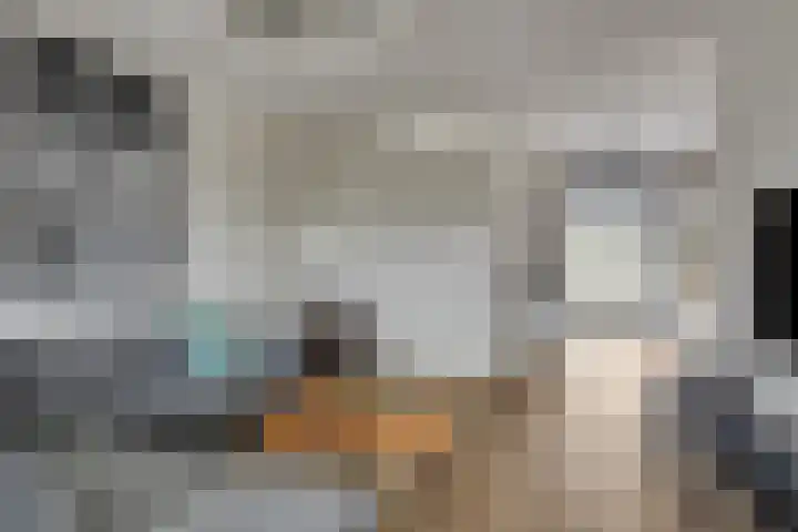 Oeverzwaluw 20 Goirle thumbnail 8