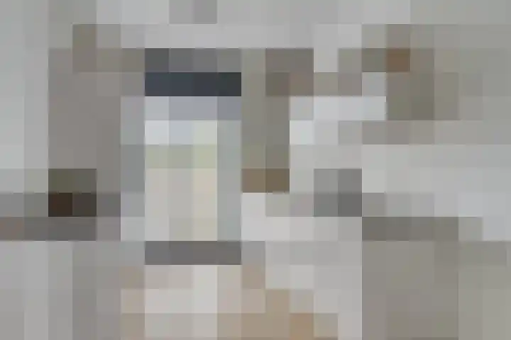 Oeverzwaluw 20 Goirle thumbnail 9