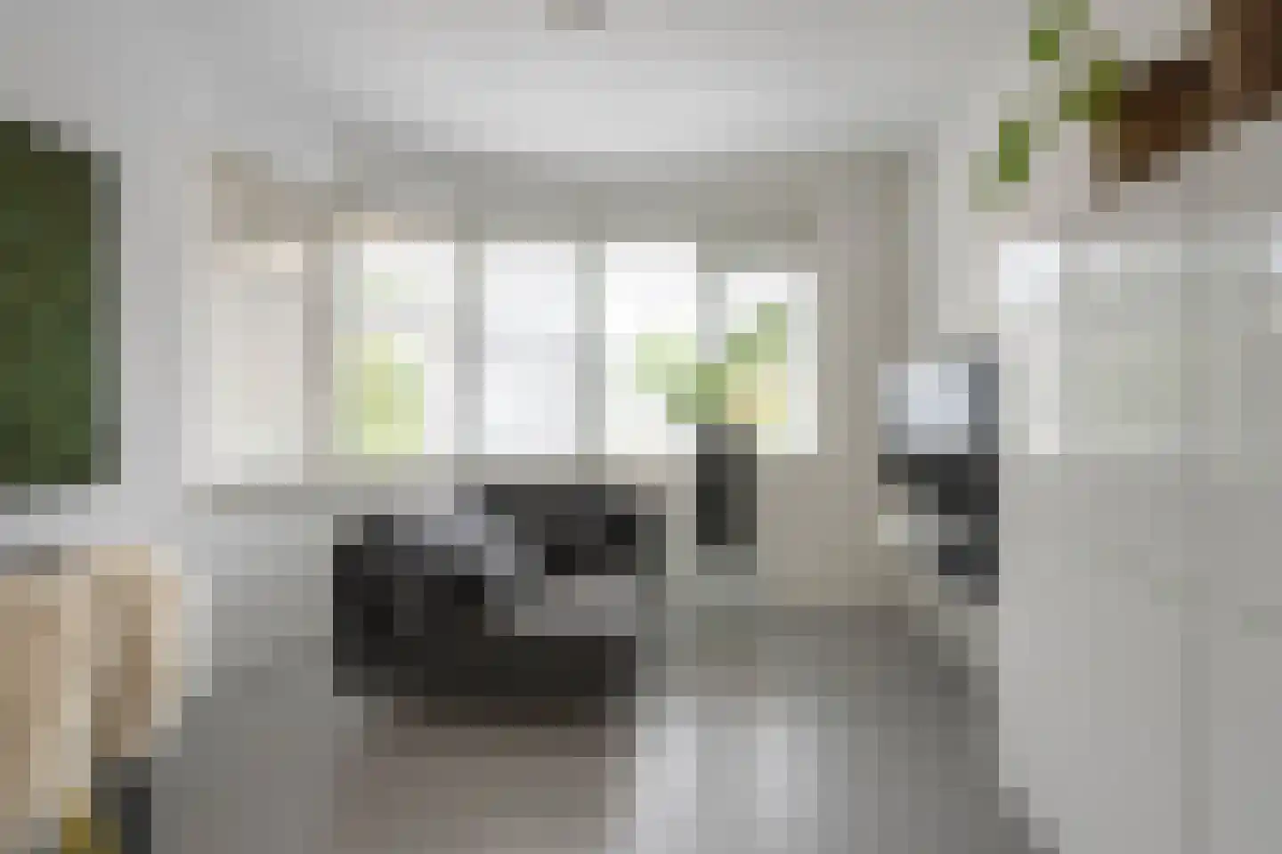 Oeverzwaluw 23 Emmen thumbnail 10