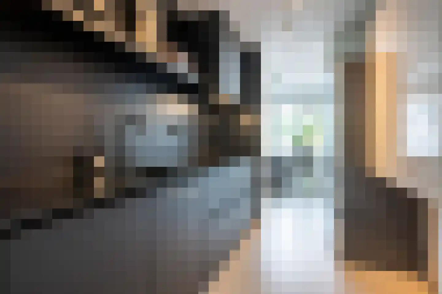 Oeverzwaluw 23 Emmen thumbnail 12