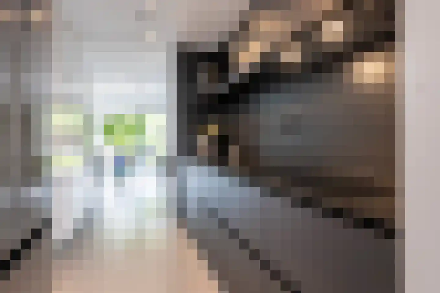 Oeverzwaluw 23 Emmen thumbnail 13