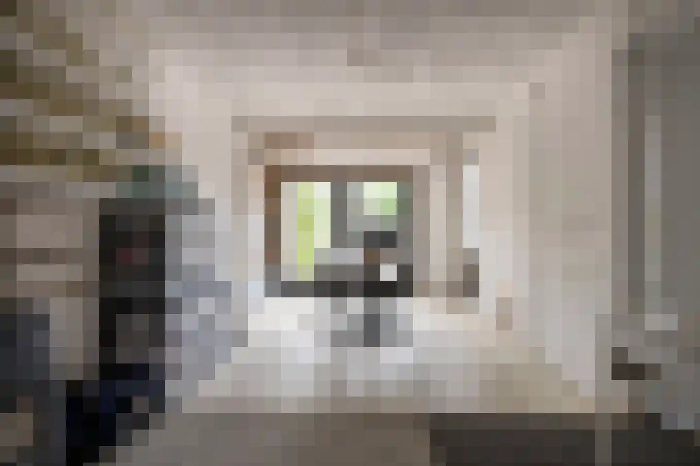 Oeverzwaluw 23 Emmen thumbnail 14