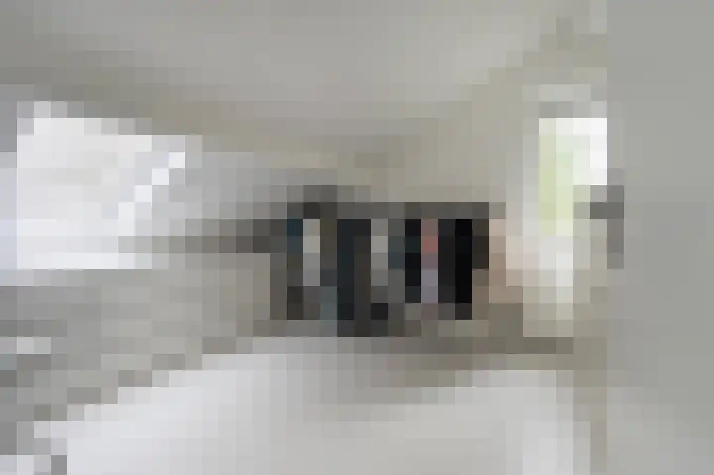 Oeverzwaluw 23 Emmen thumbnail 21