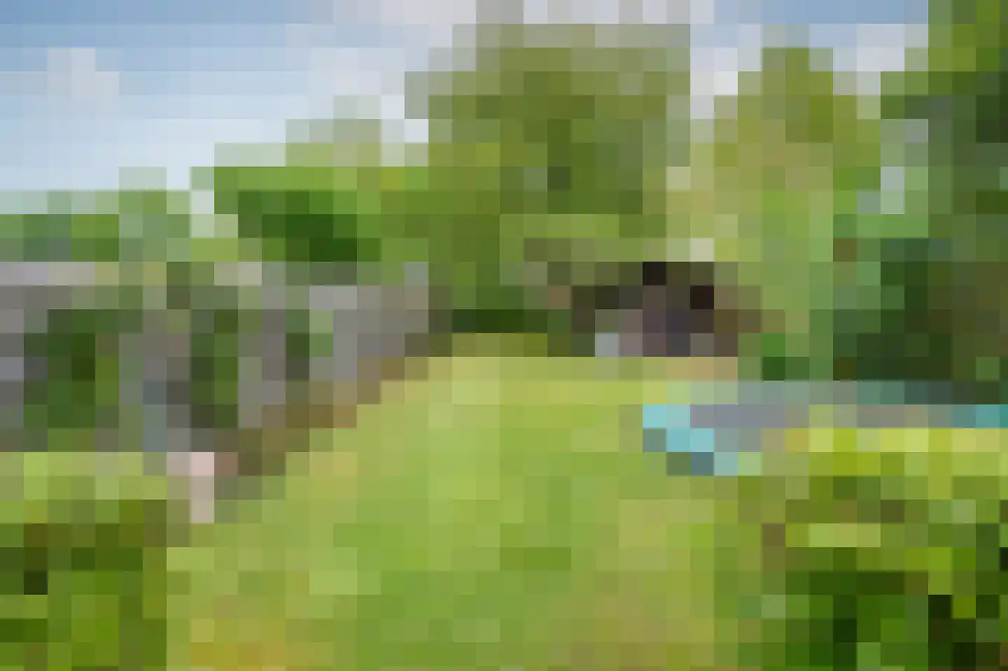 Oeverzwaluw 23 Emmen thumbnail 27