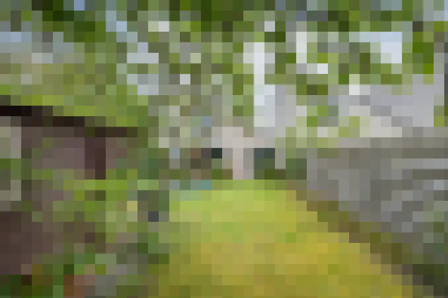 Oeverzwaluw 23 Emmen thumbnail 29
