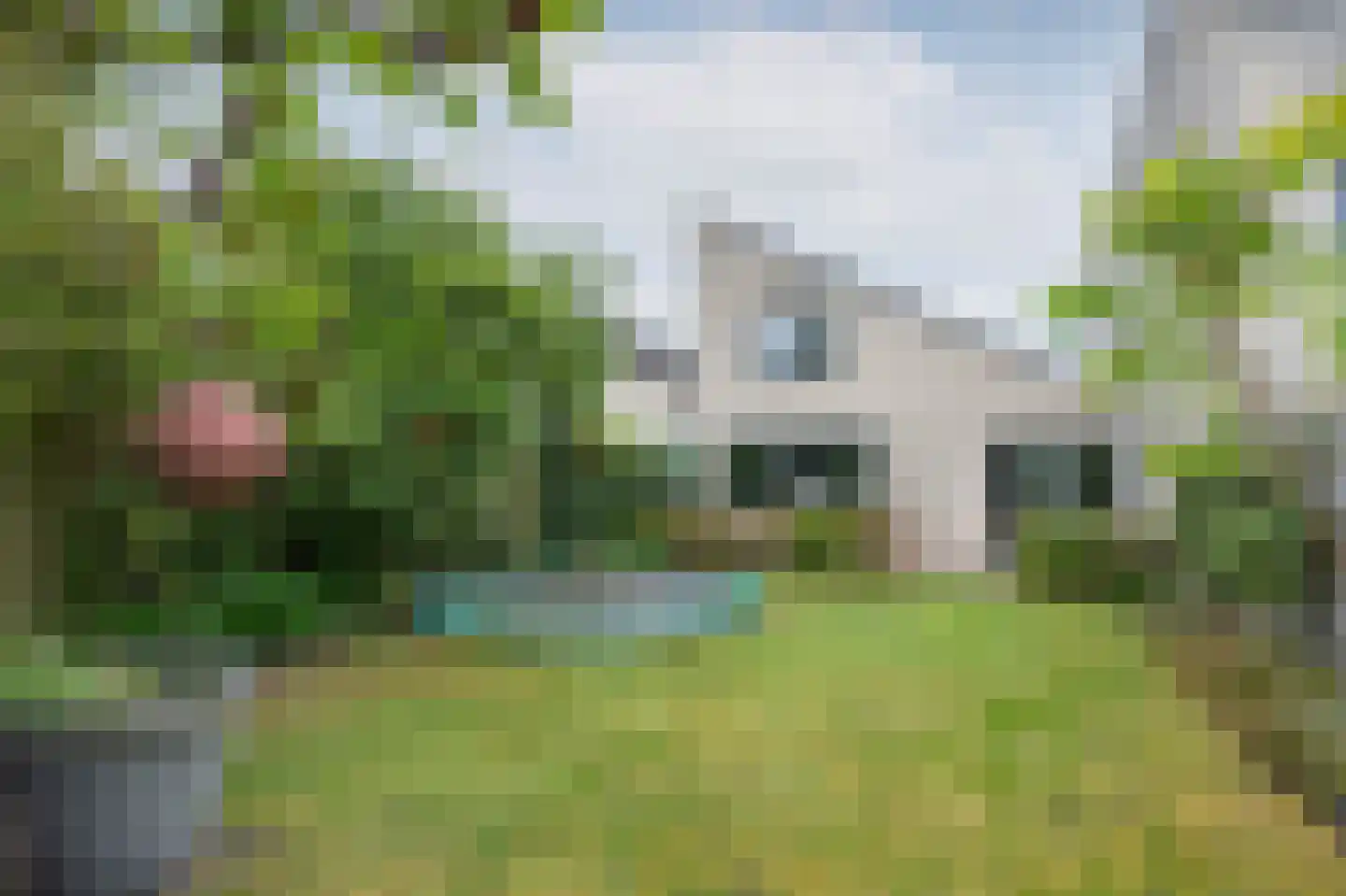 Oeverzwaluw 23 Emmen thumbnail 30