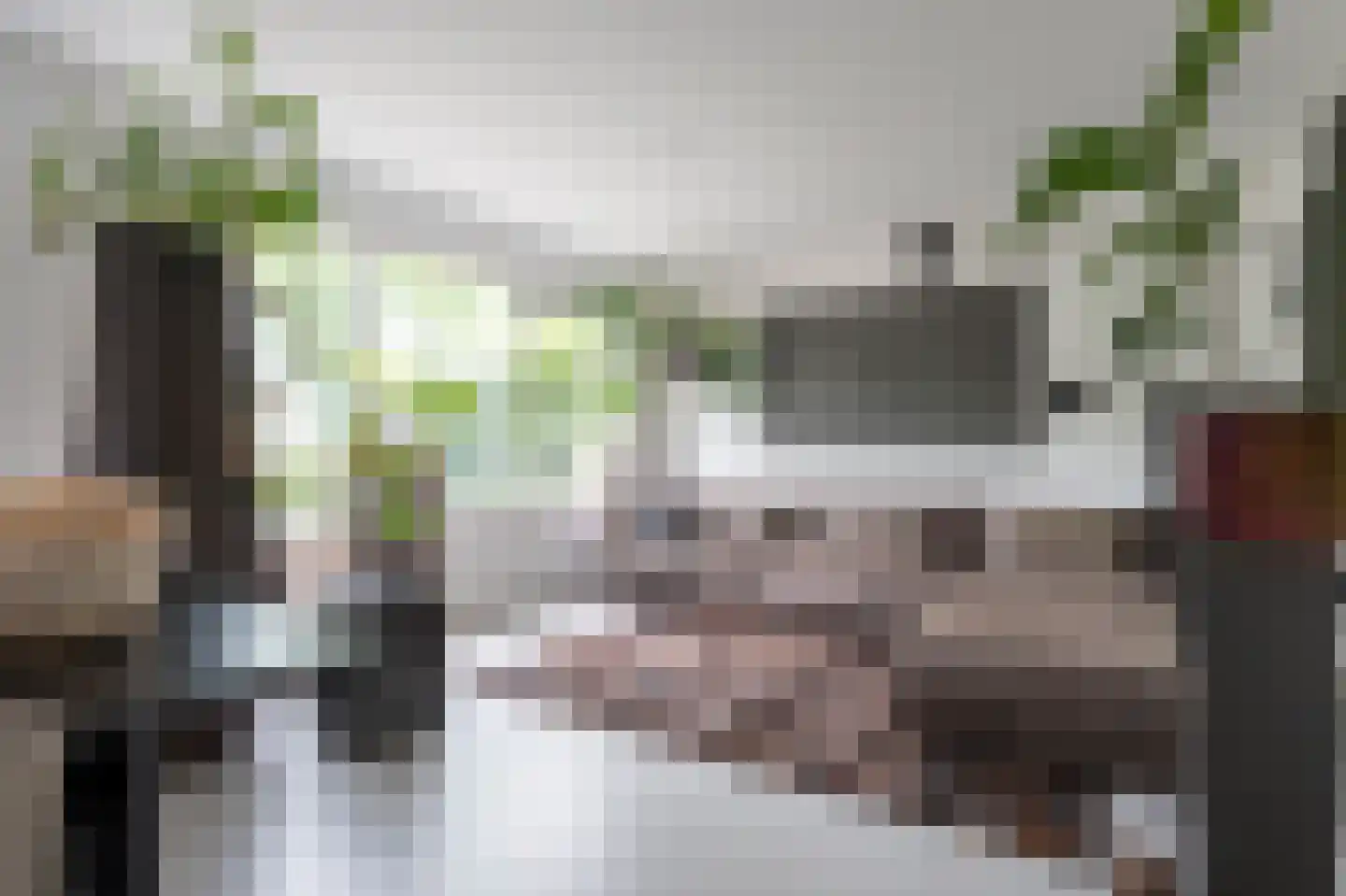 Oeverzwaluw 23 Emmen thumbnail 4