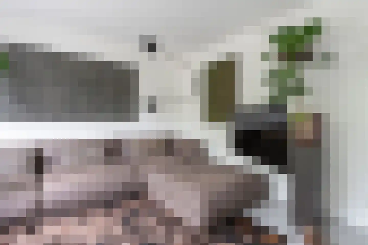 Oeverzwaluw 23 Emmen thumbnail 5