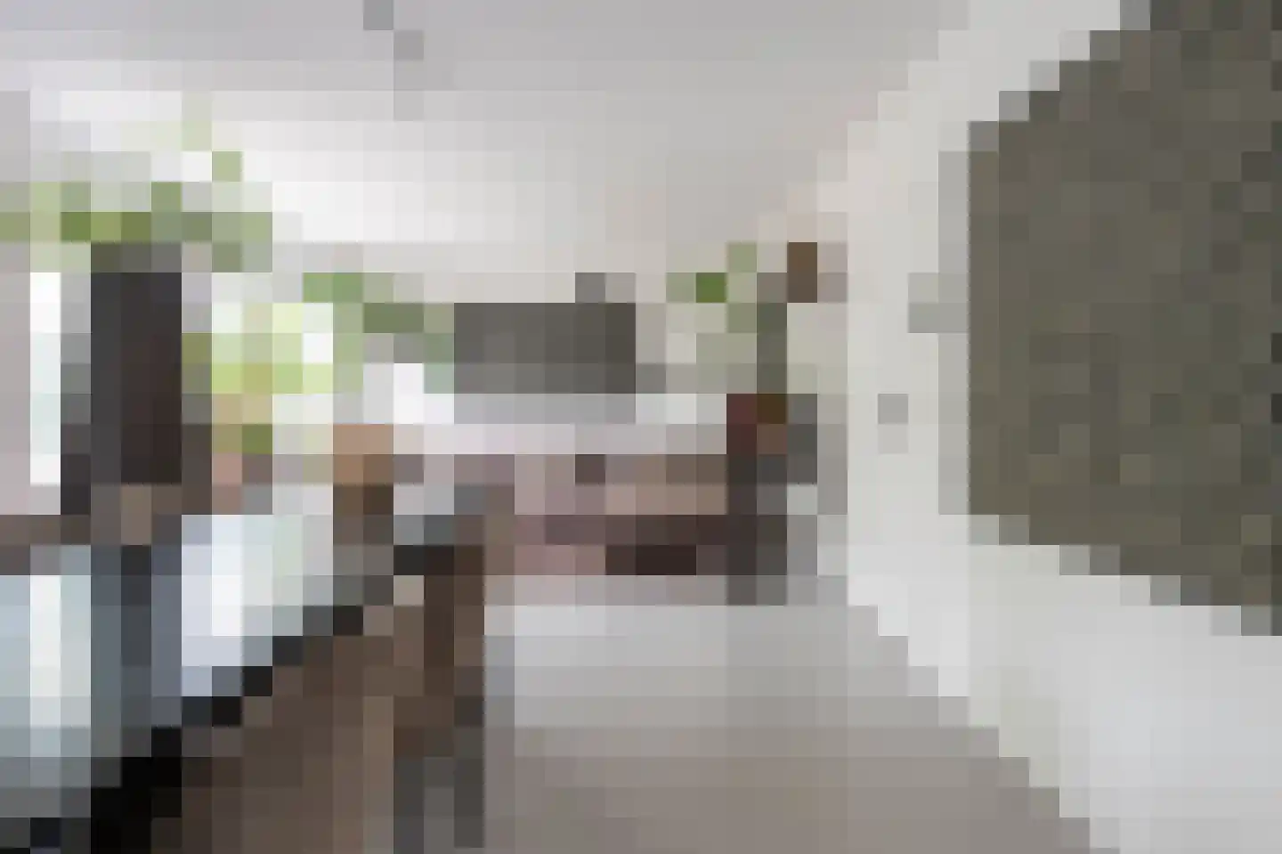 Oeverzwaluw 23 Emmen thumbnail 6