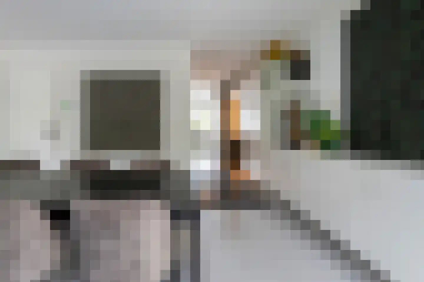 Oeverzwaluw 23 Emmen thumbnail 8