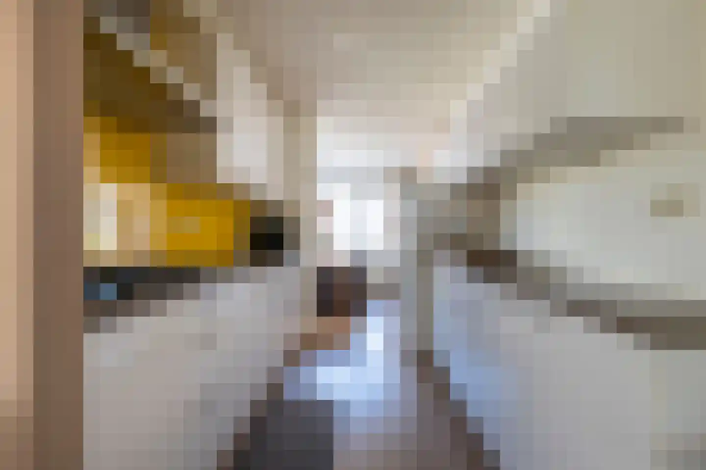 Oeverzwaluw 30 Emmen thumbnail 10
