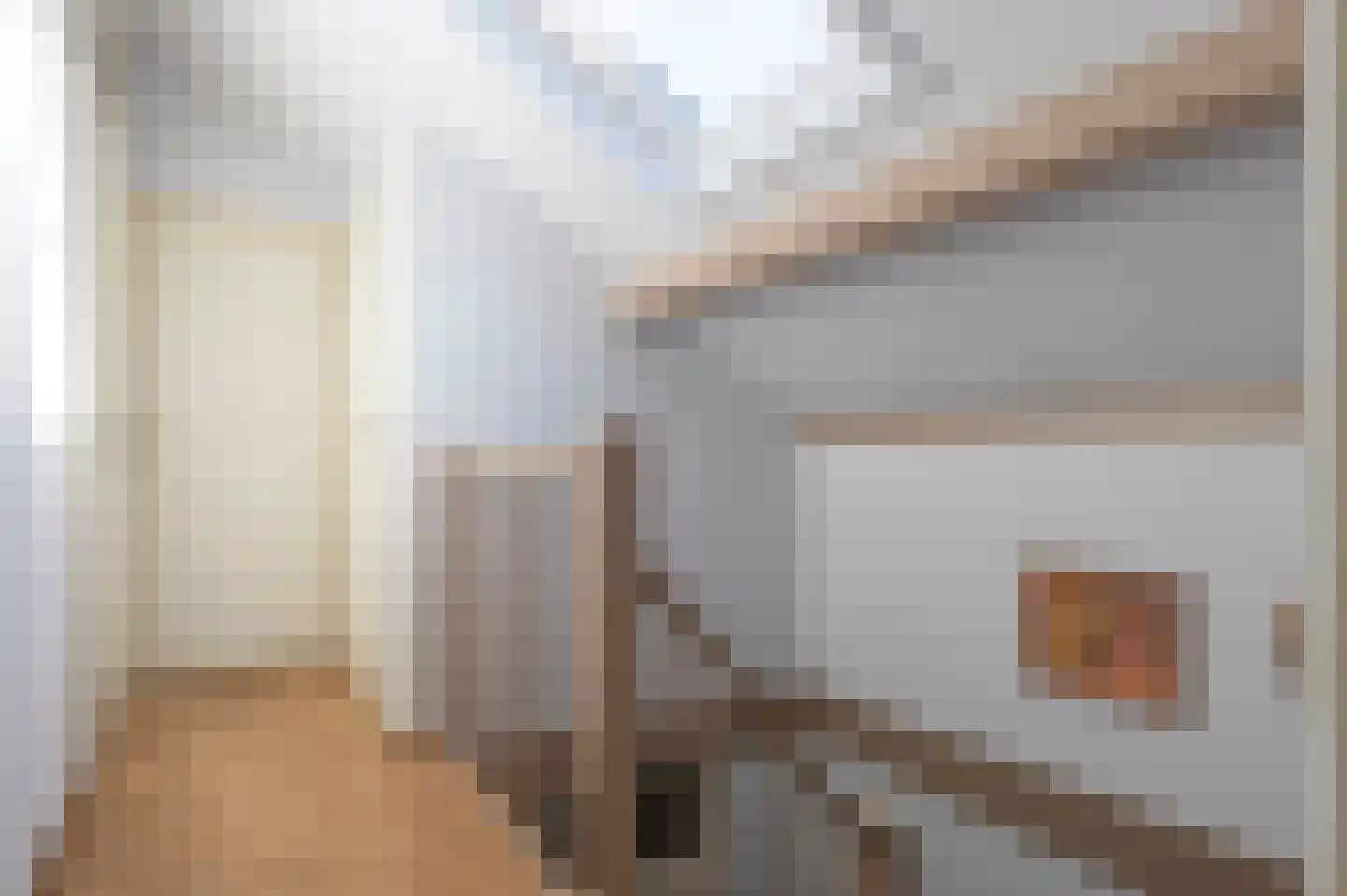 Oeverzwaluw 30 Emmen thumbnail 15