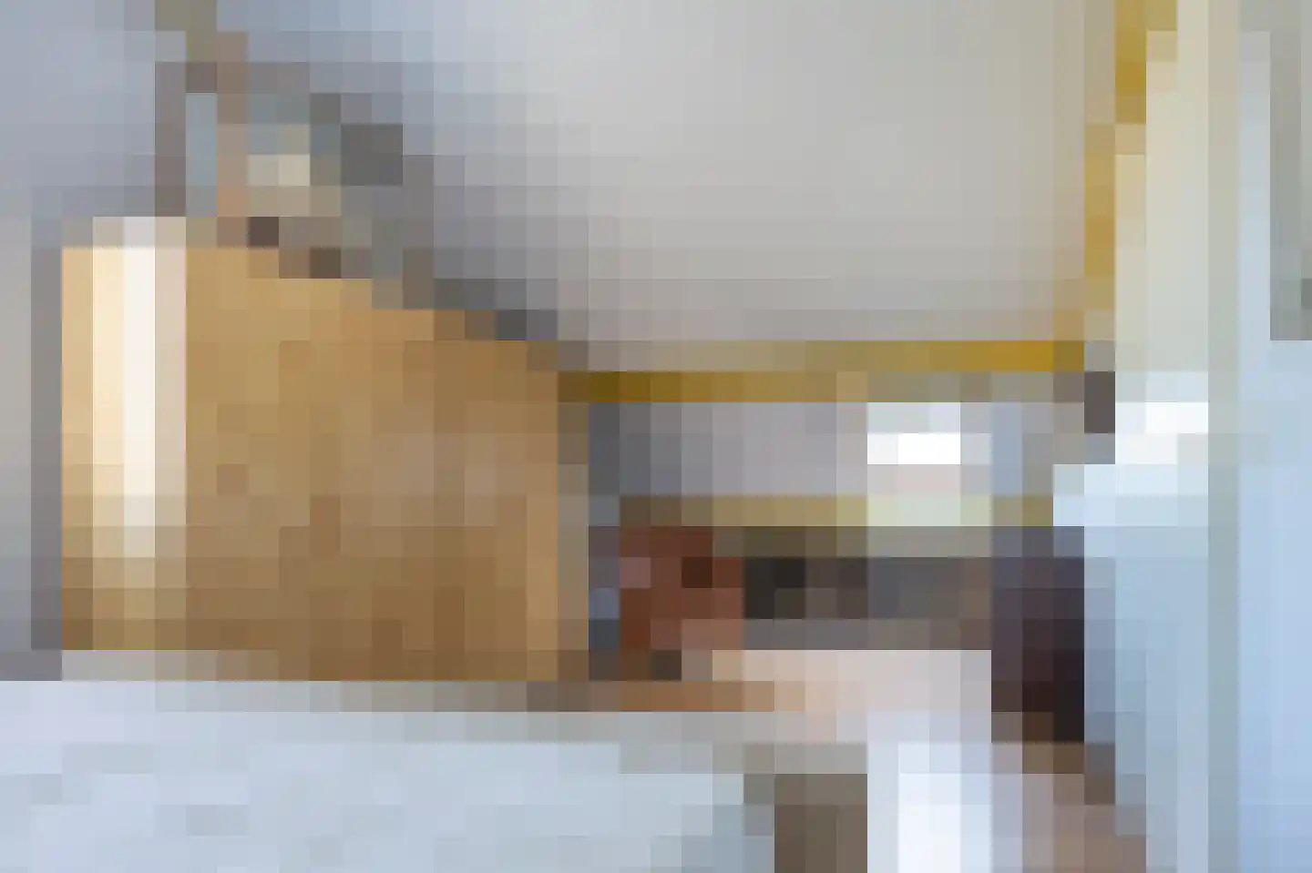 Oeverzwaluw 30 Emmen thumbnail 20