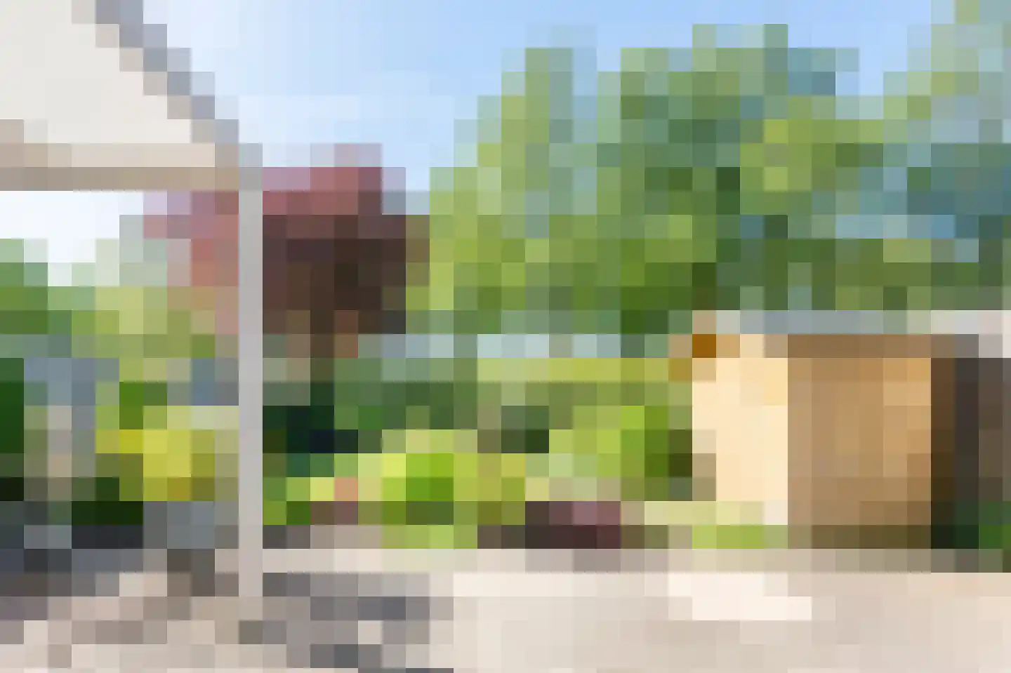 Oeverzwaluw 30 Emmen thumbnail 23