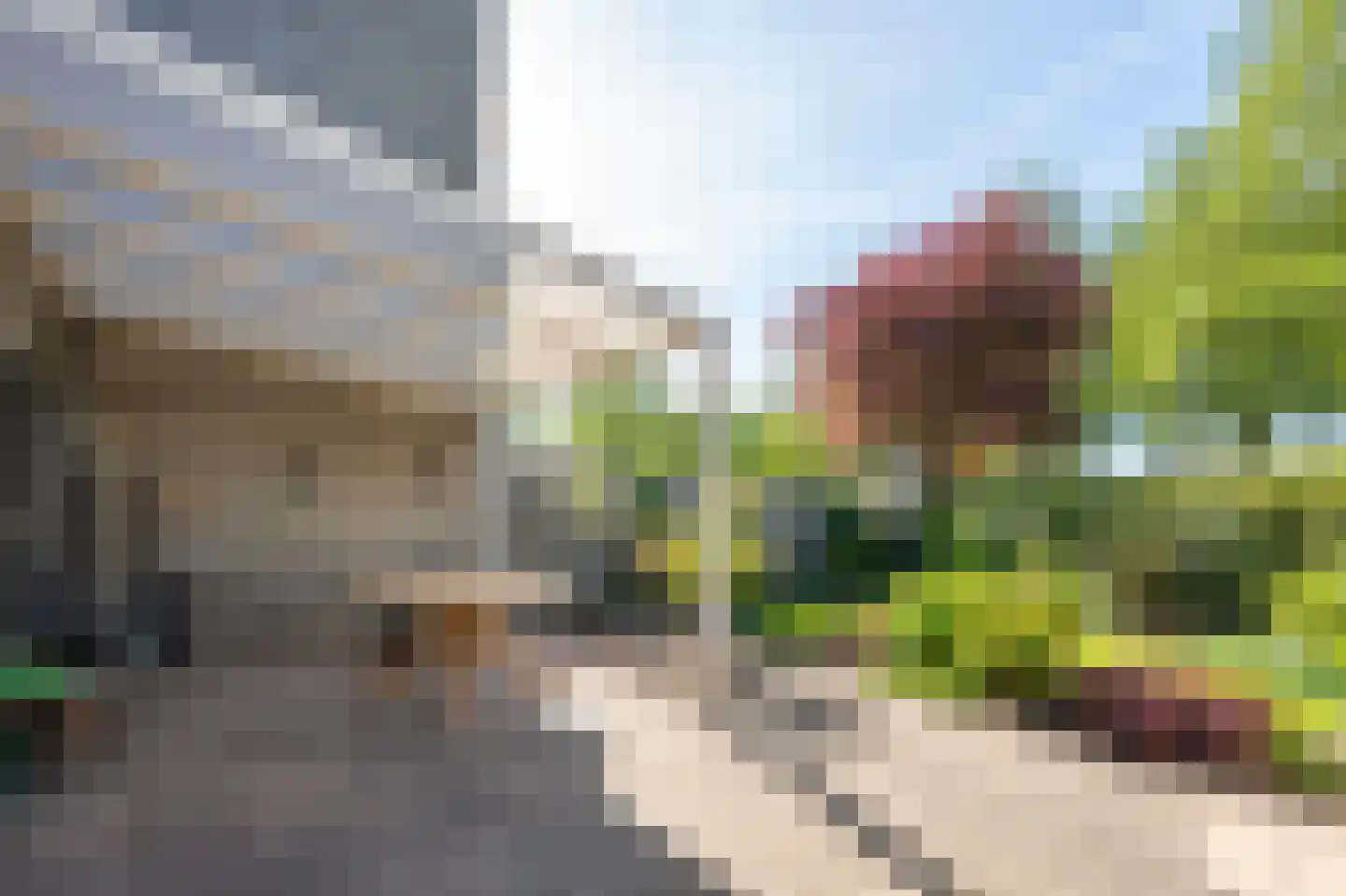 Oeverzwaluw 30 Emmen thumbnail 24