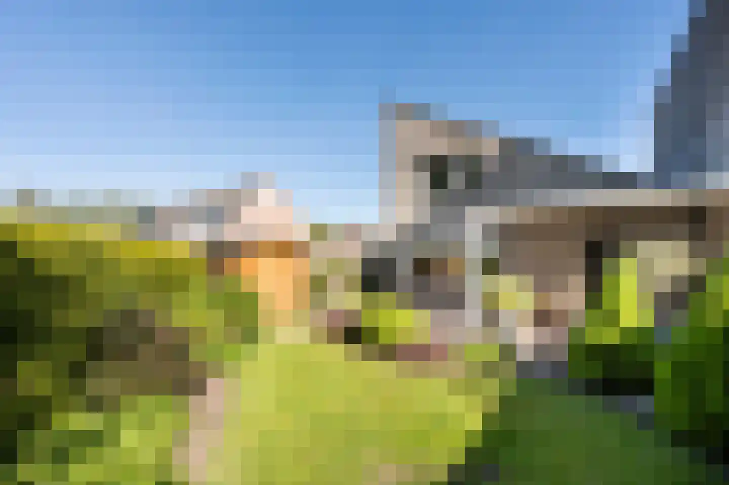 Oeverzwaluw 30 Emmen thumbnail 25