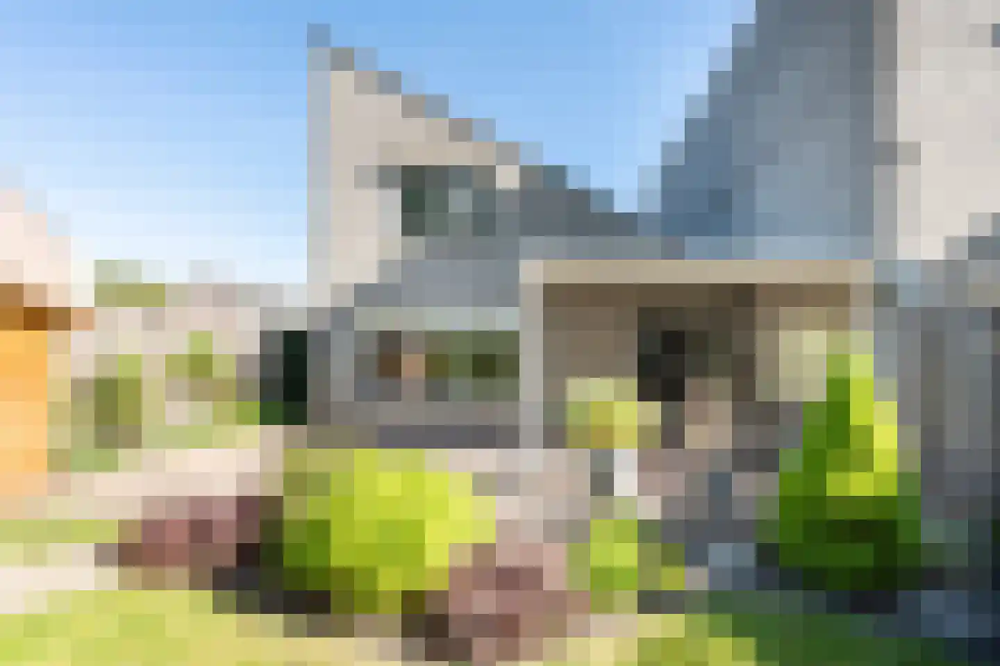 Oeverzwaluw 30 Emmen thumbnail 26