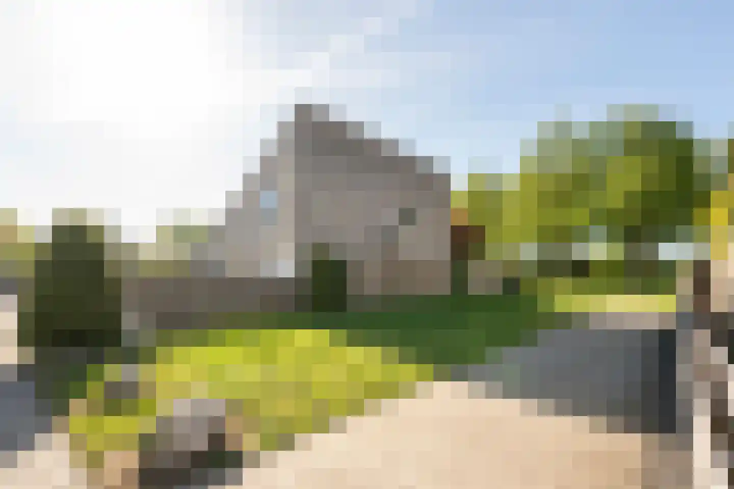 Oeverzwaluw 30 Emmen thumbnail 27